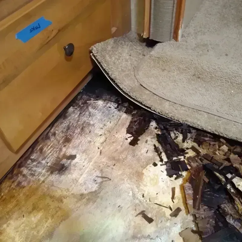 Wood Floor Water Damage in Crossett, AR